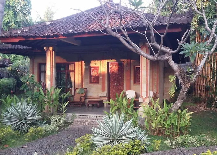 Rambutan Boutique 3* Lovina (Bali)