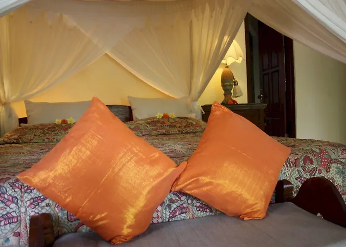 Rambutan Boutique 3* Lovina (Bali)