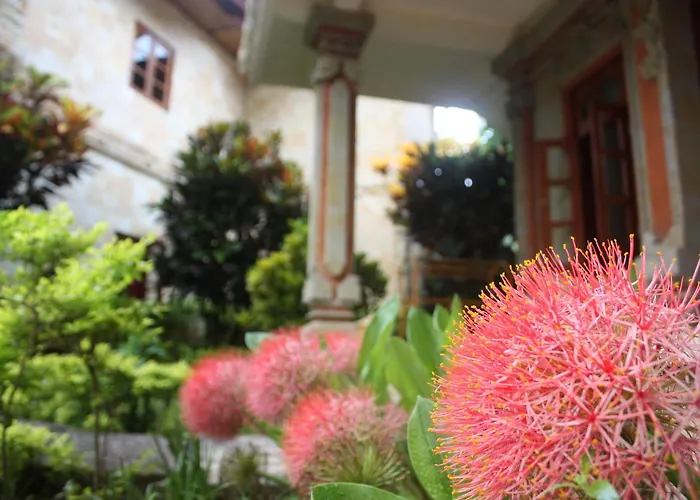 Rambutan Boutique Hotel Lovina (Bali)